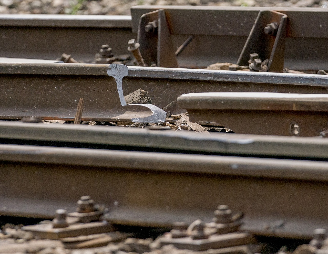 ŽSR evidujú za posledný mesiac 13 smrteľných zrážok vlaku s osobou