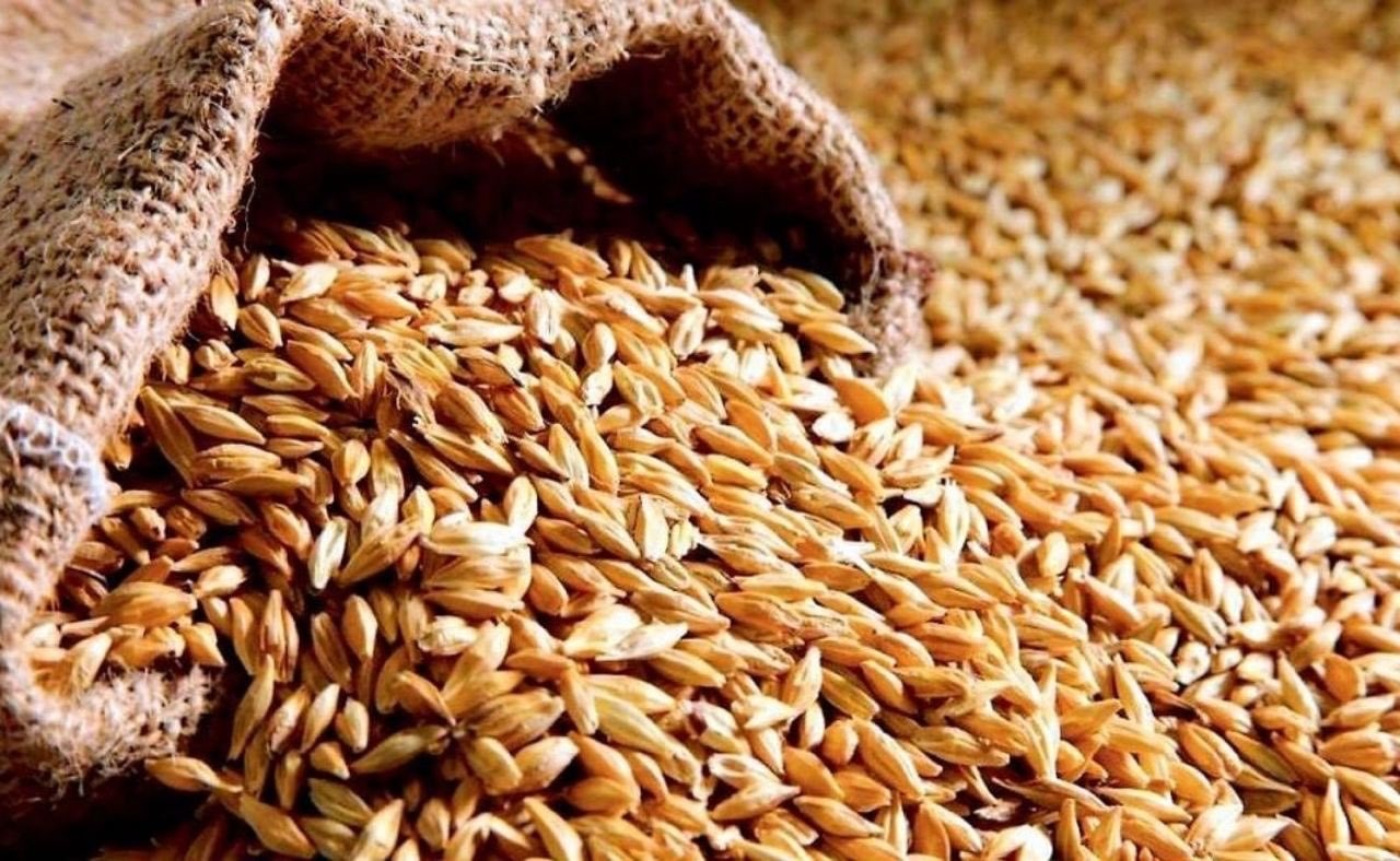 Kontaminovaná ukrajinská pšenica už aj v slovenskom mlyne? Úrady zasahujú