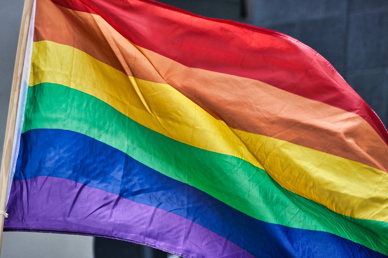 SaS: LGBTI+ témy treba v dnešnej spoločnosti vedieť správne komunikovať