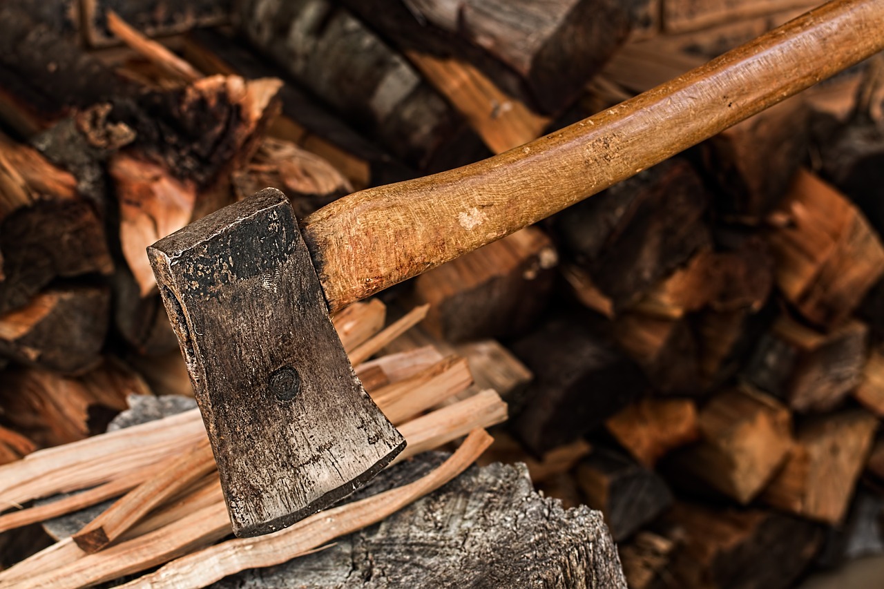 Využívanie dreva na vykurovanie mierne kleslo, stúpli alternatívne palivá