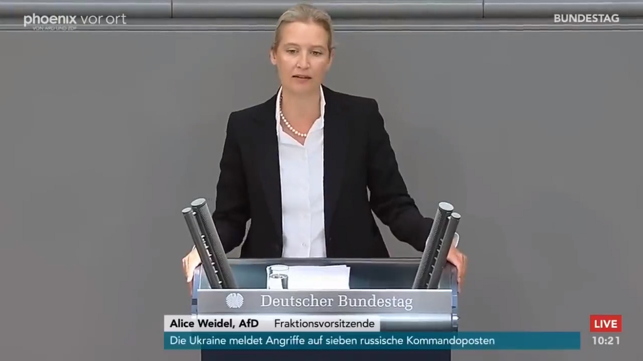 Strana AfD by mala byť zakázaná, tvrdí nemecká skupina pre ľudské práva financovaná nemeckou vládou