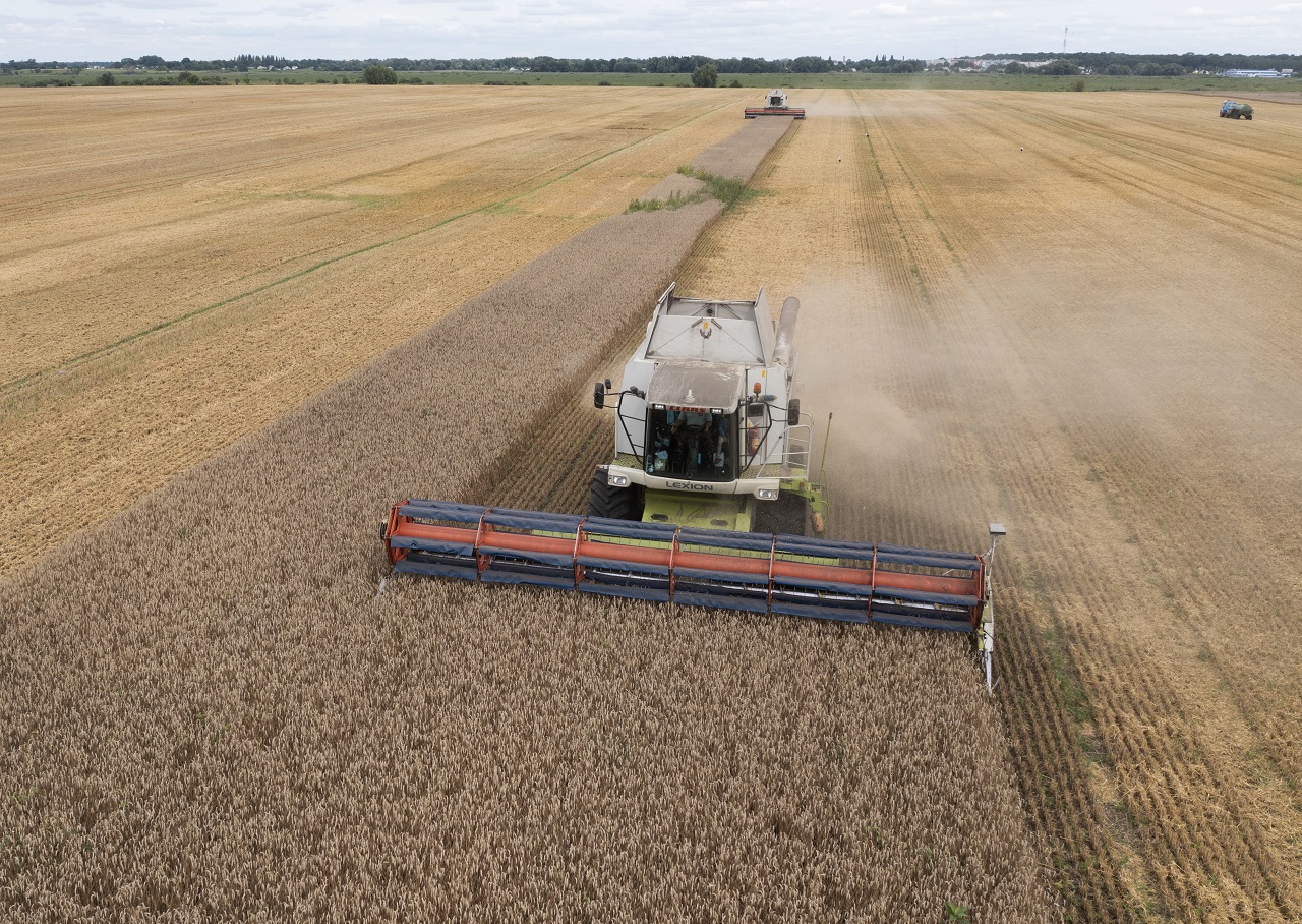 Prečo EÚ pravdepodobne nezasiahne proti poľskému zákazu dovozu ukrajinského obilia – zatiaľ