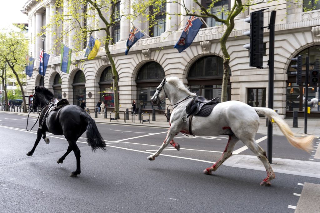 splašené kone v Londýne