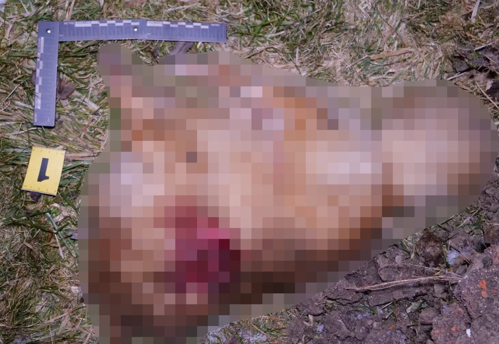 Polícia obvinila muža z Klenovca, pod vplyvom alkoholu zabil motykou psa
